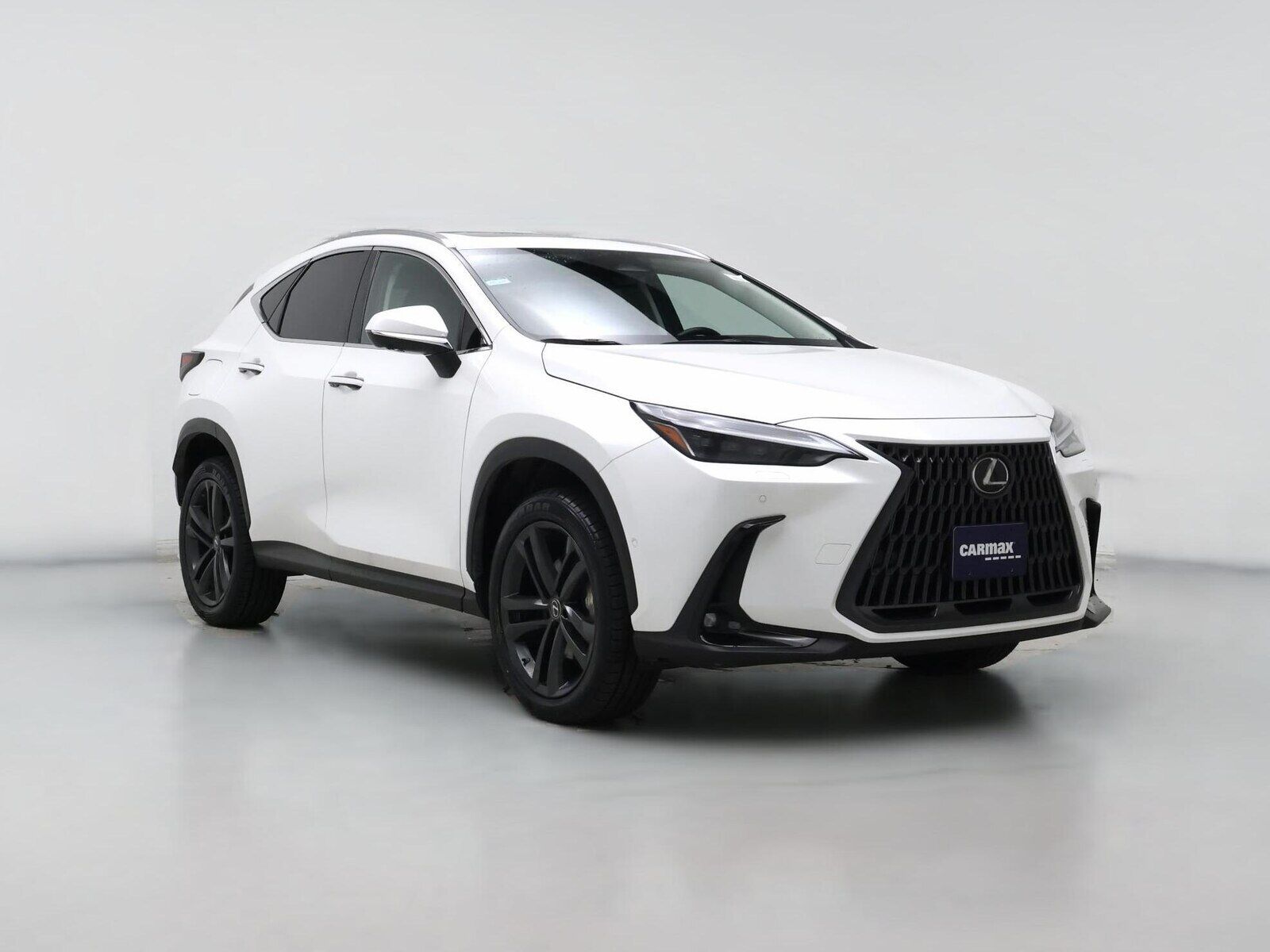 2022 LEXUS NX