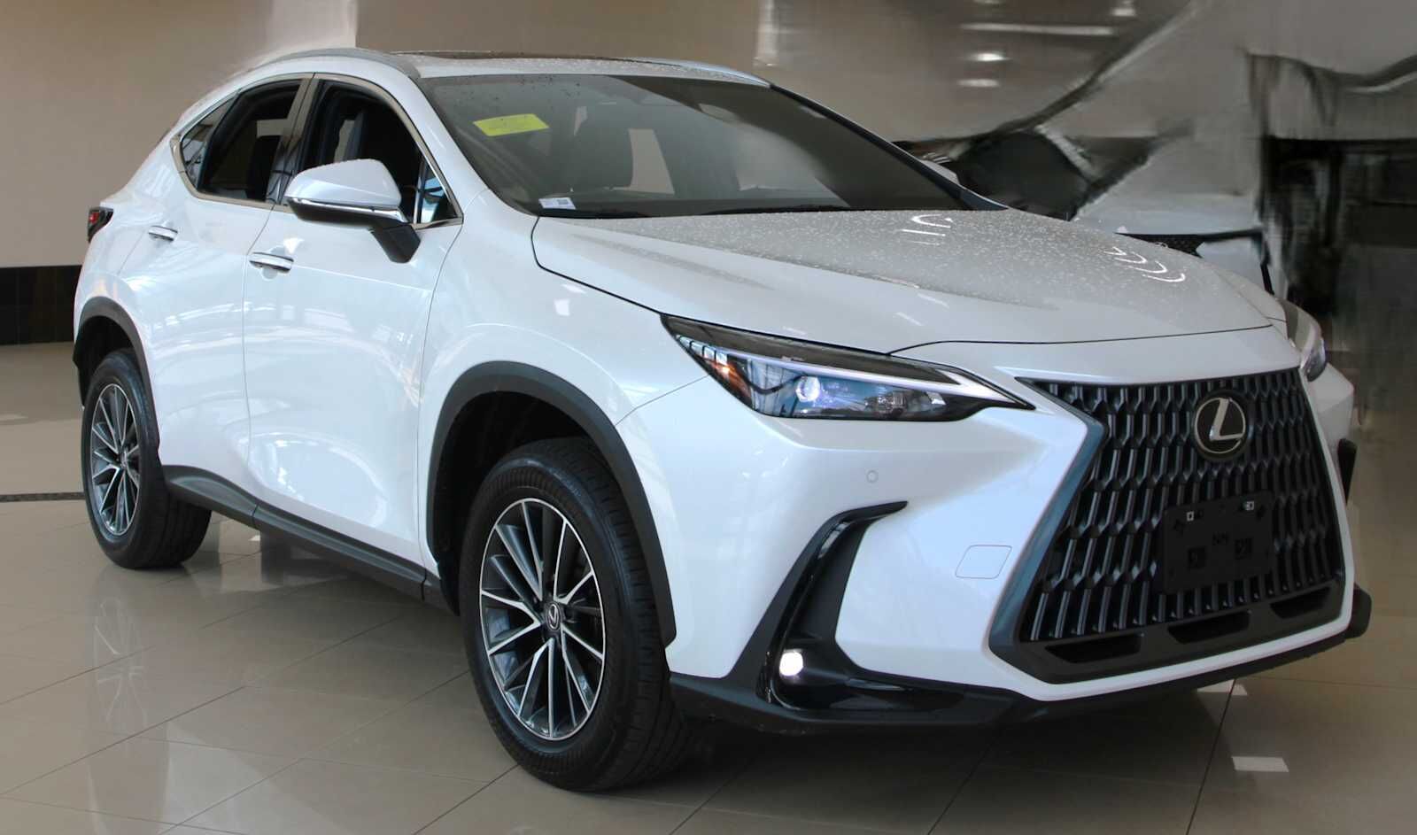 2024 LEXUS NX