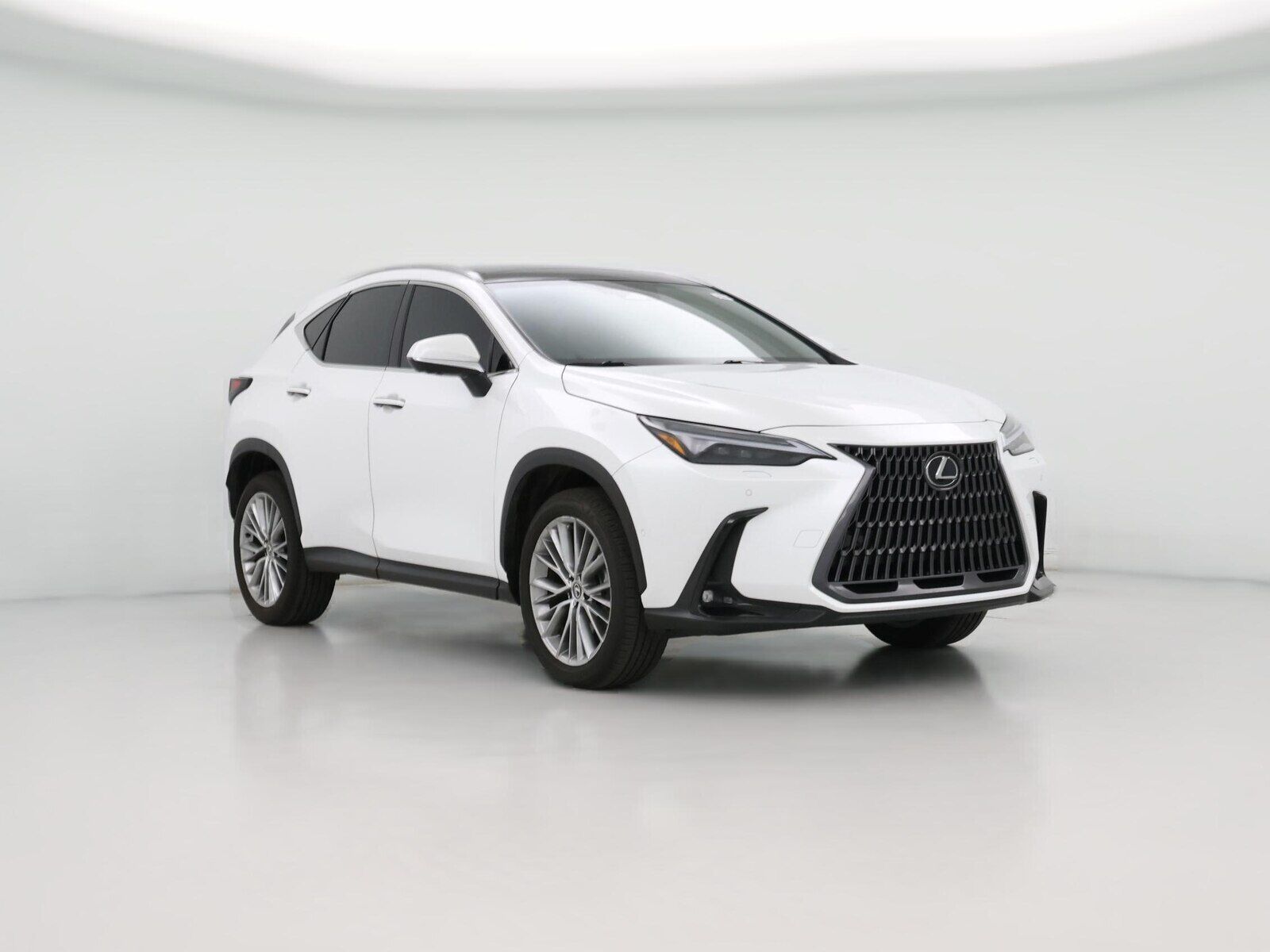 2025 LEXUS NX