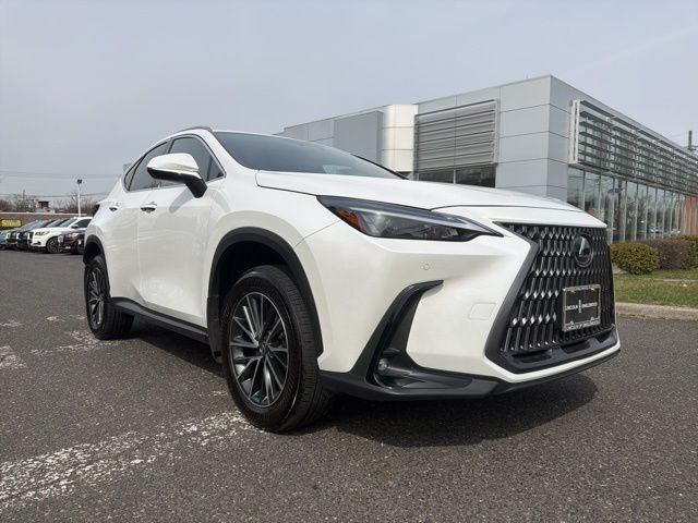 2024 LEXUS NX