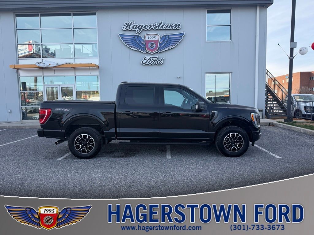 2023 FORD F-150