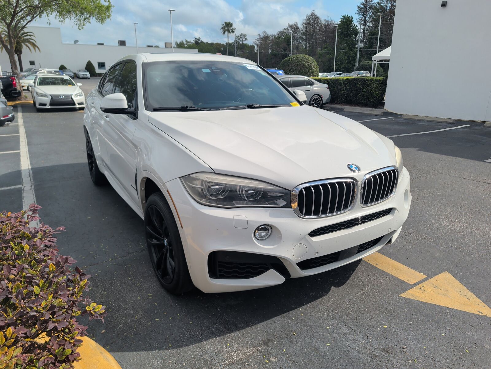 2017 BMW X6