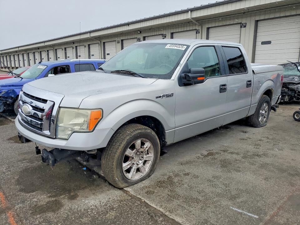 2009 FORD F-150