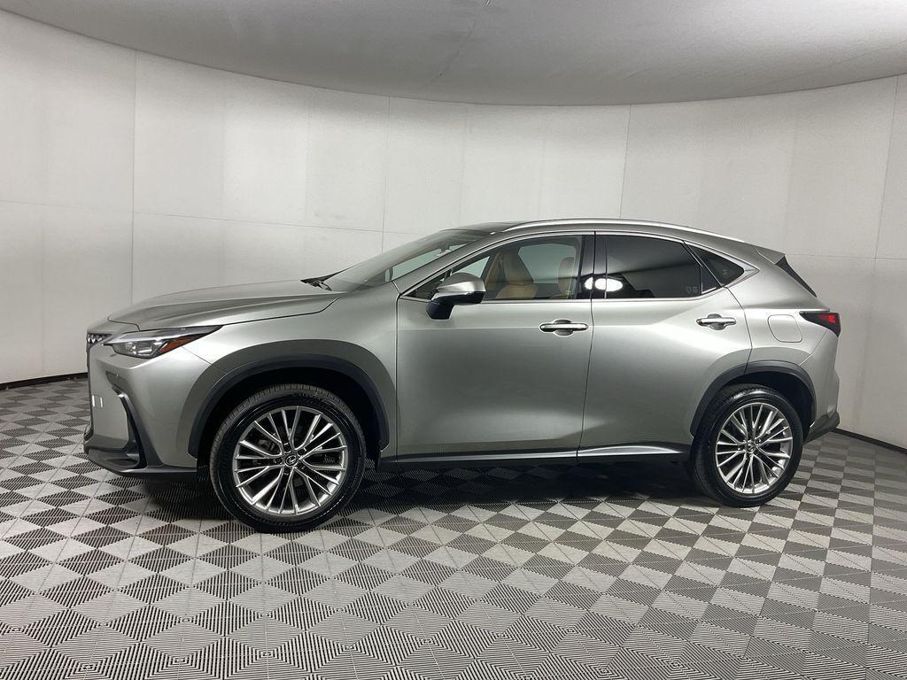 2025 LEXUS NX