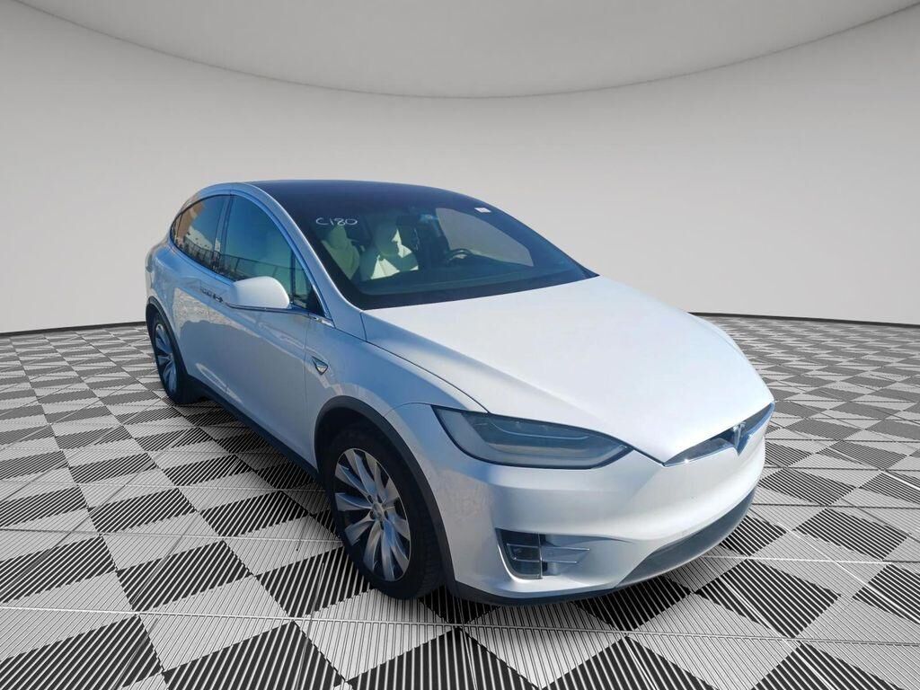 2019 TESLA Model X