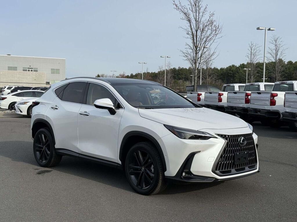 2025 LEXUS NX