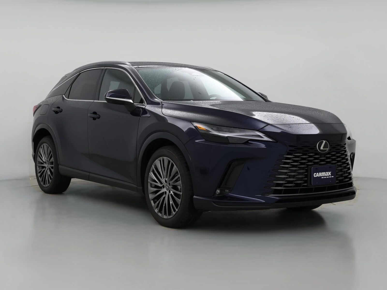 2025 LEXUS RX