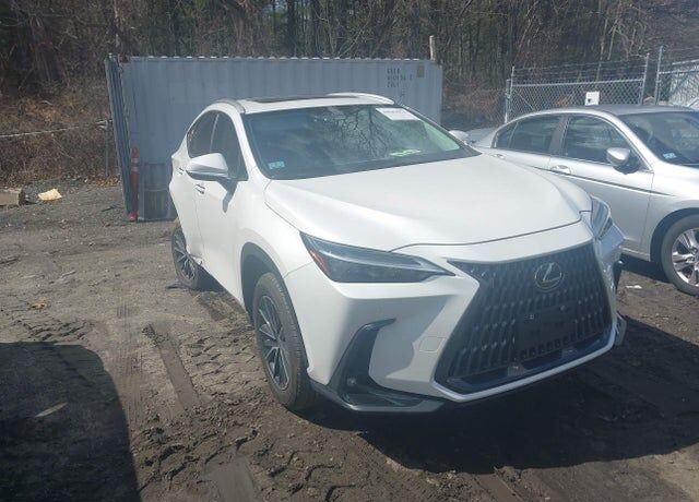 2025 LEXUS NX
