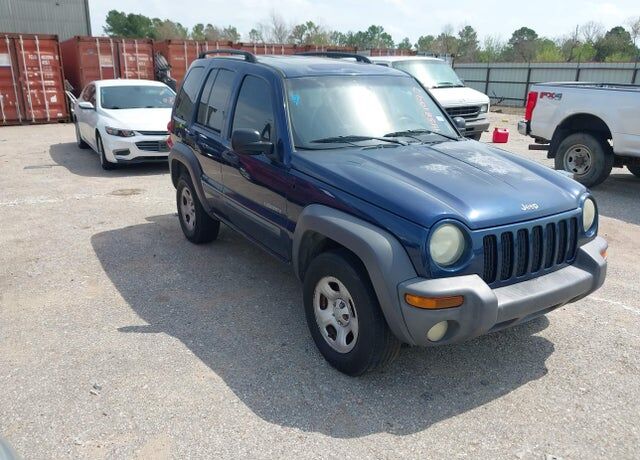 2004 JEEP Liberty