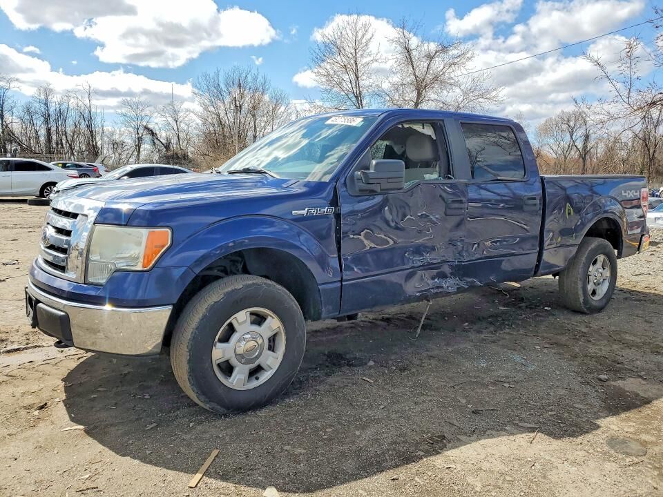 2010 FORD F-150