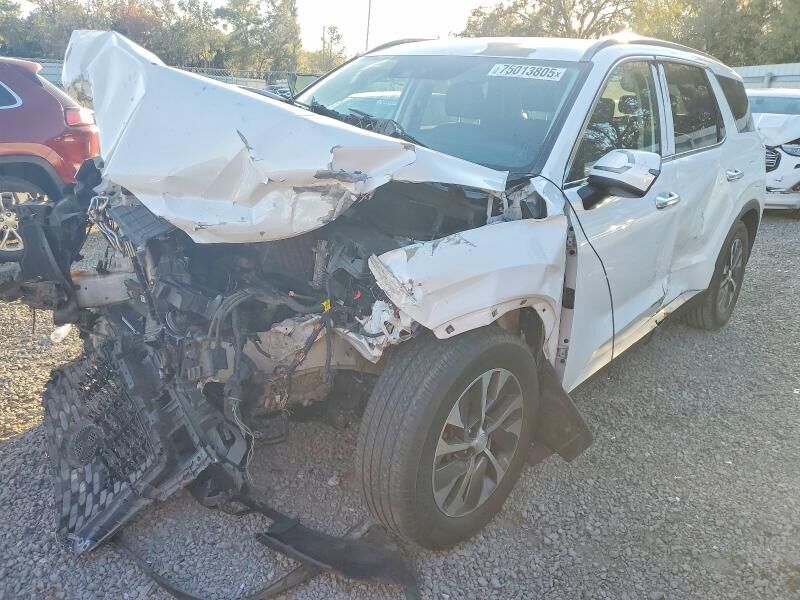 2020 HYUNDAI Palisade