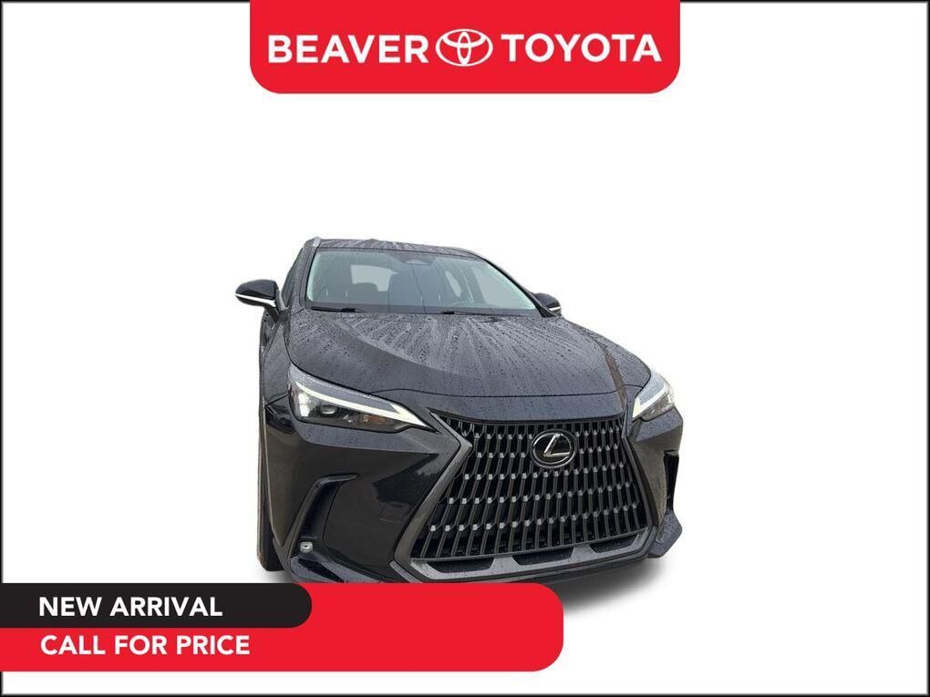 2024 LEXUS NX