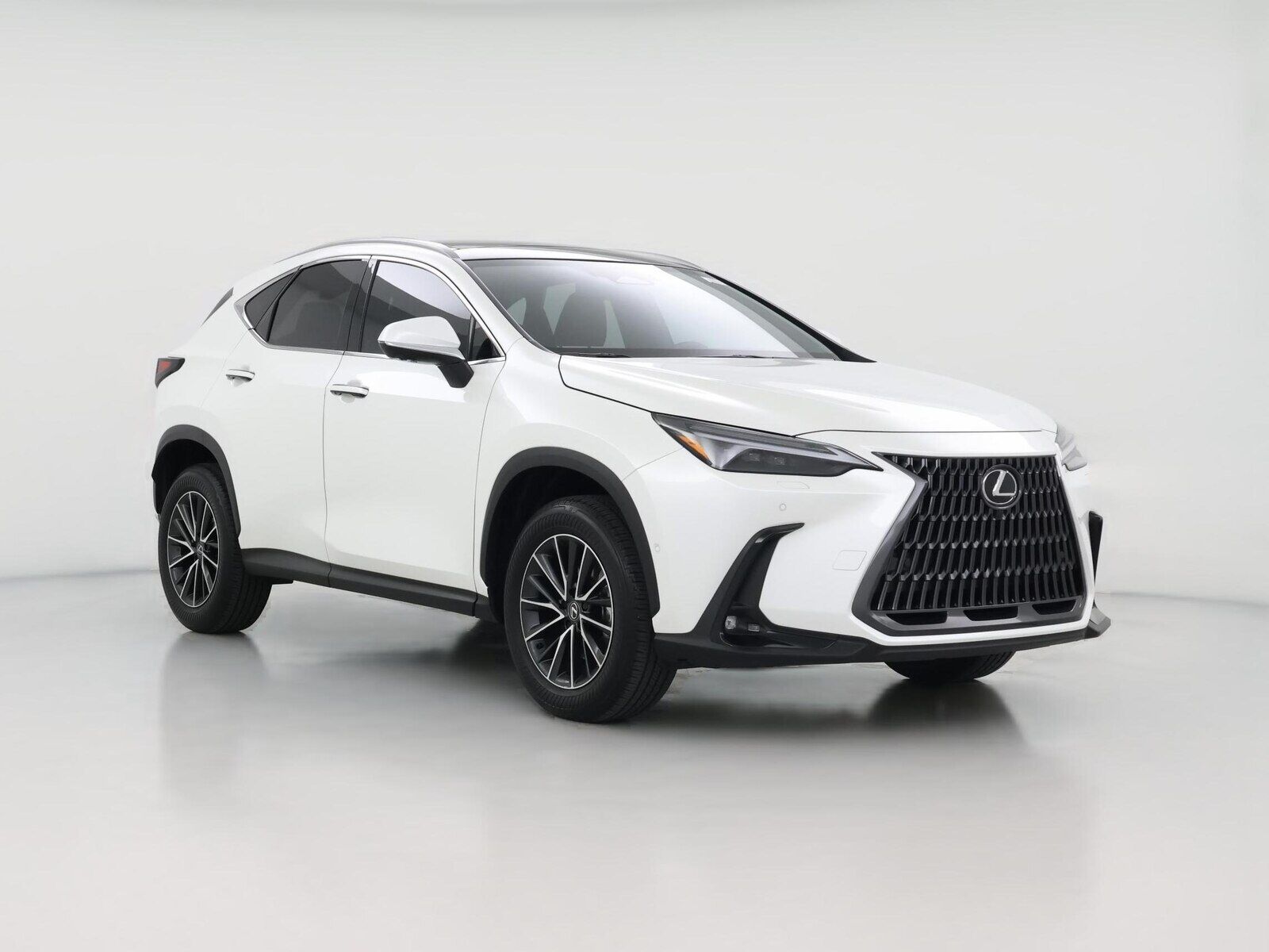 2025 LEXUS NX
