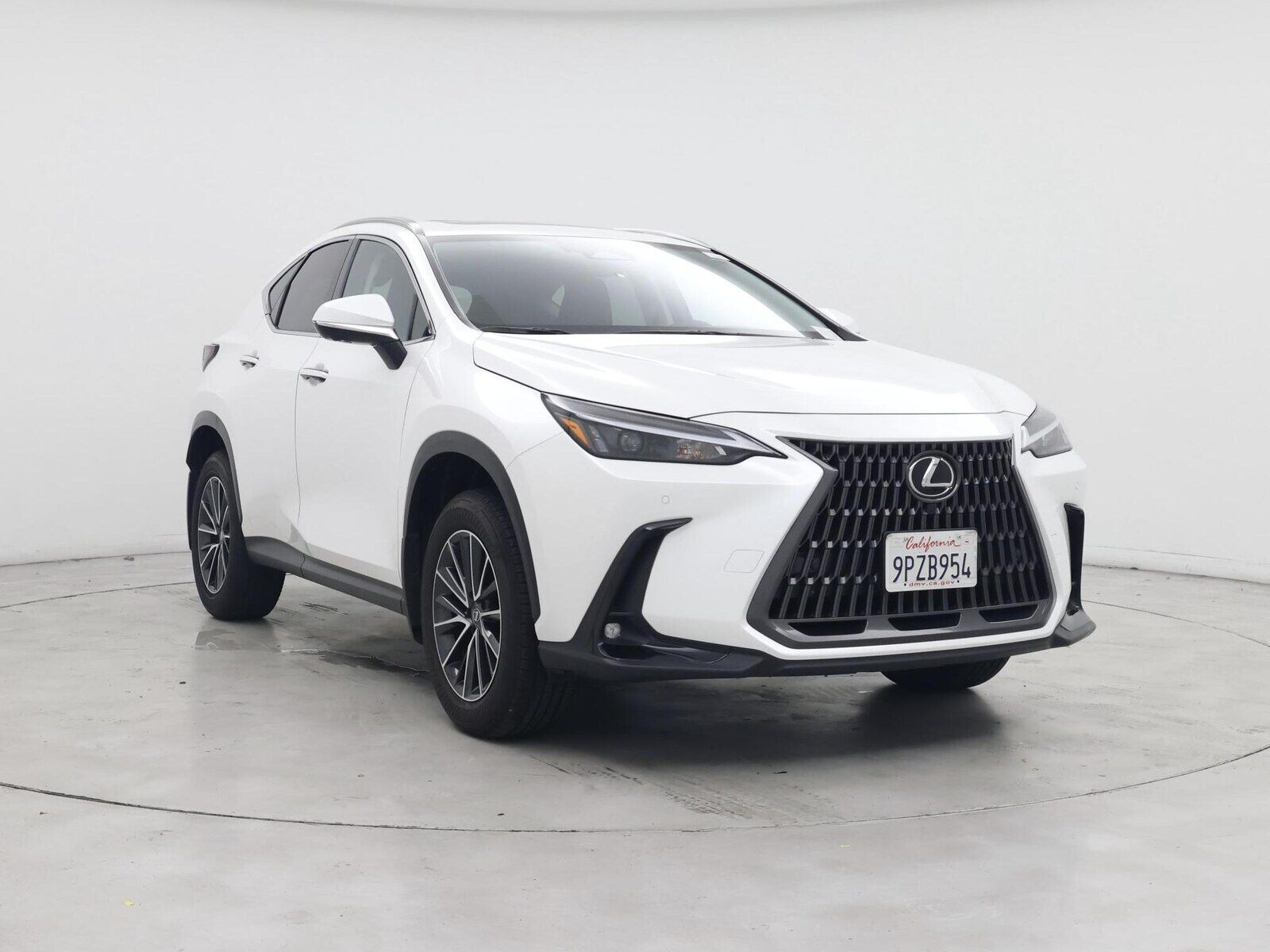 2025 LEXUS NX