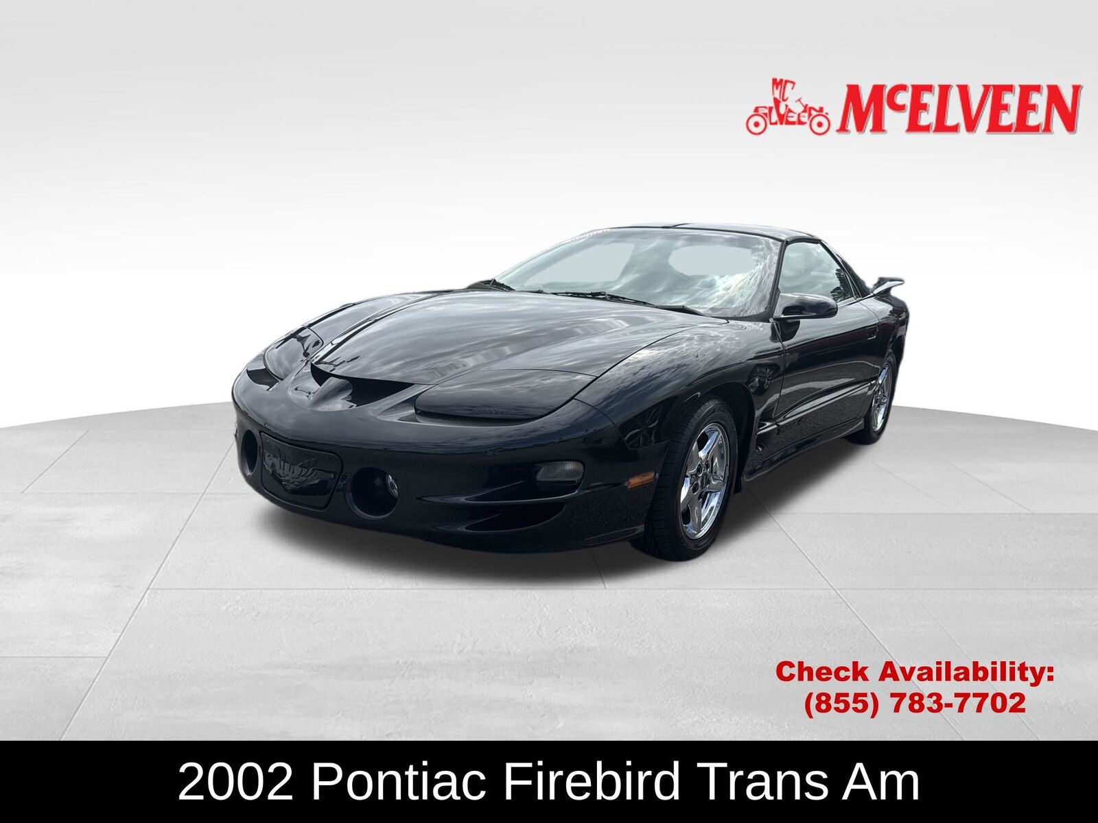 2002 PONTIAC Firebird