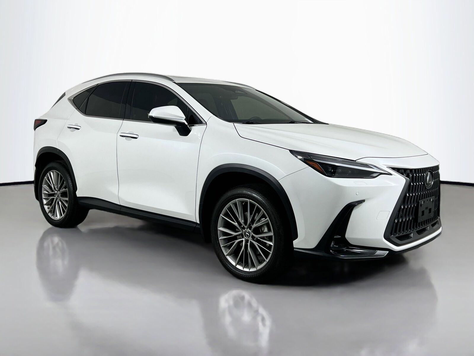2023 LEXUS NX