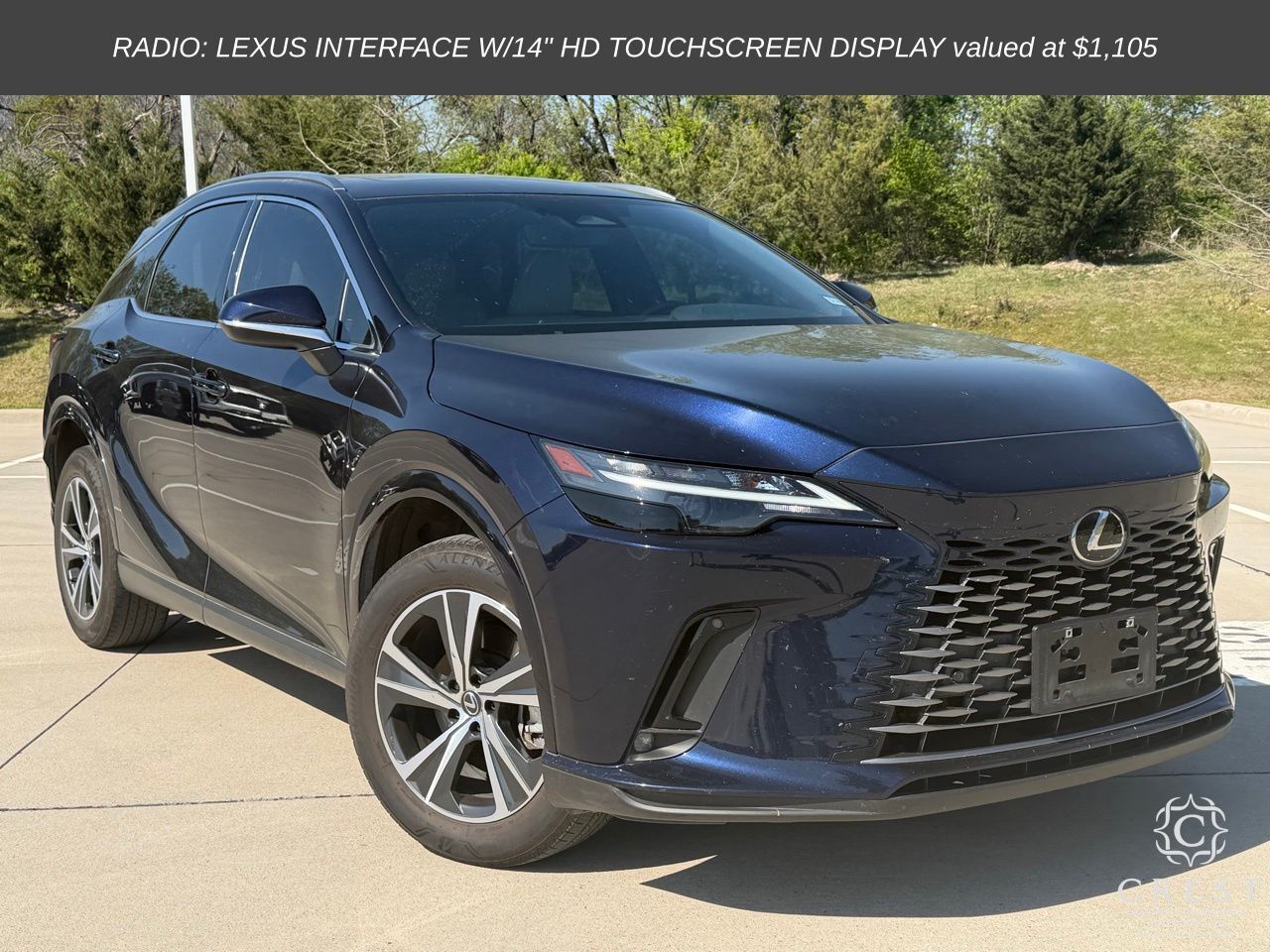 2024 LEXUS RX