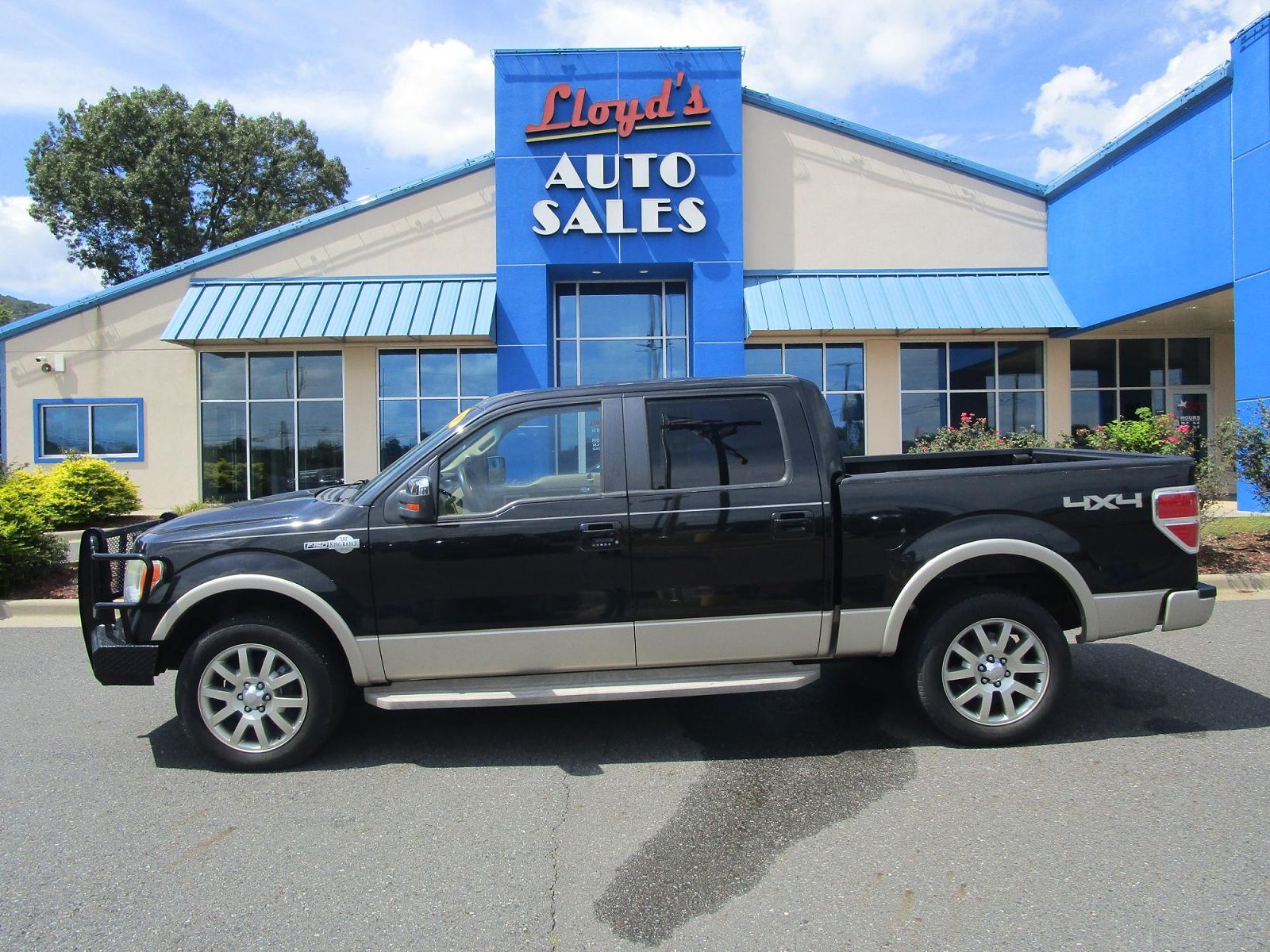 2010 FORD F-150