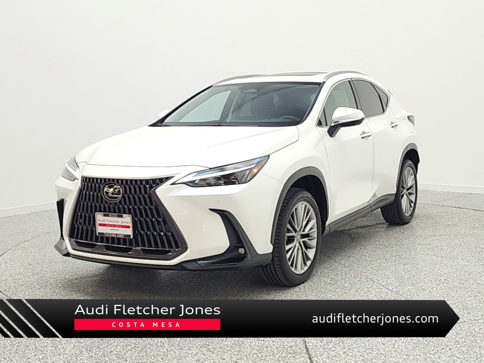 2025 LEXUS NX