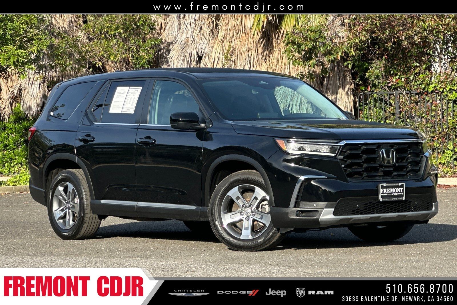 2025 HONDA Pilot