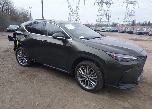 2025 LEXUS NX