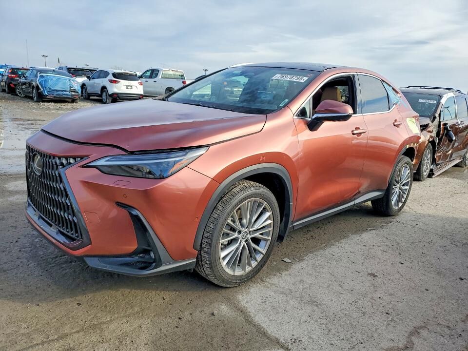 2025 LEXUS NX