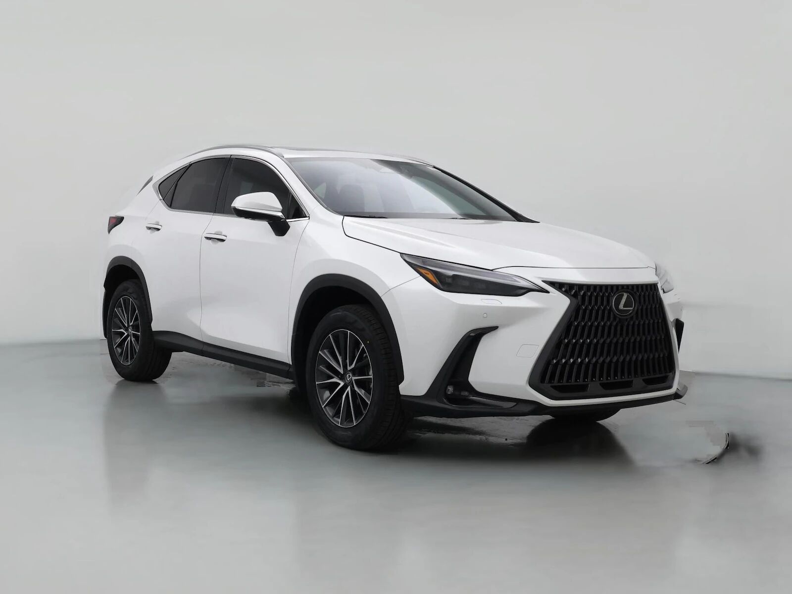 2024 LEXUS NX