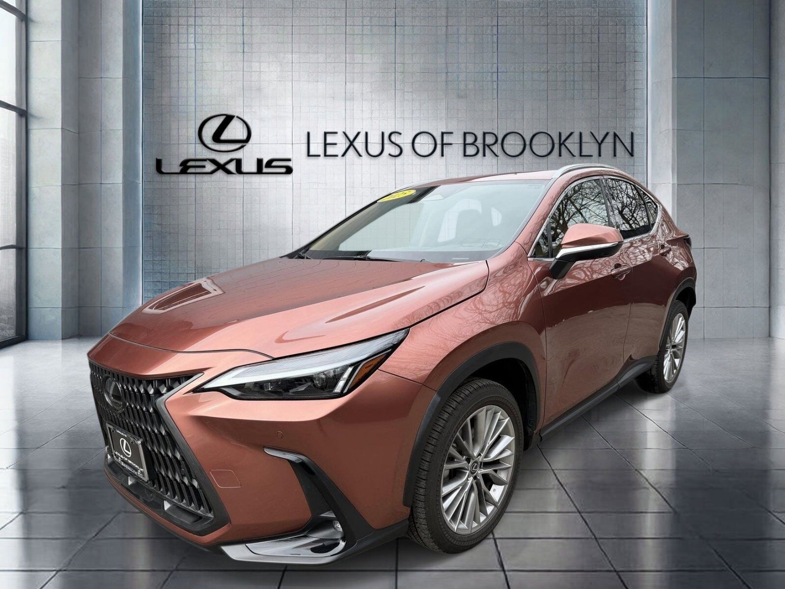 2025 LEXUS NX