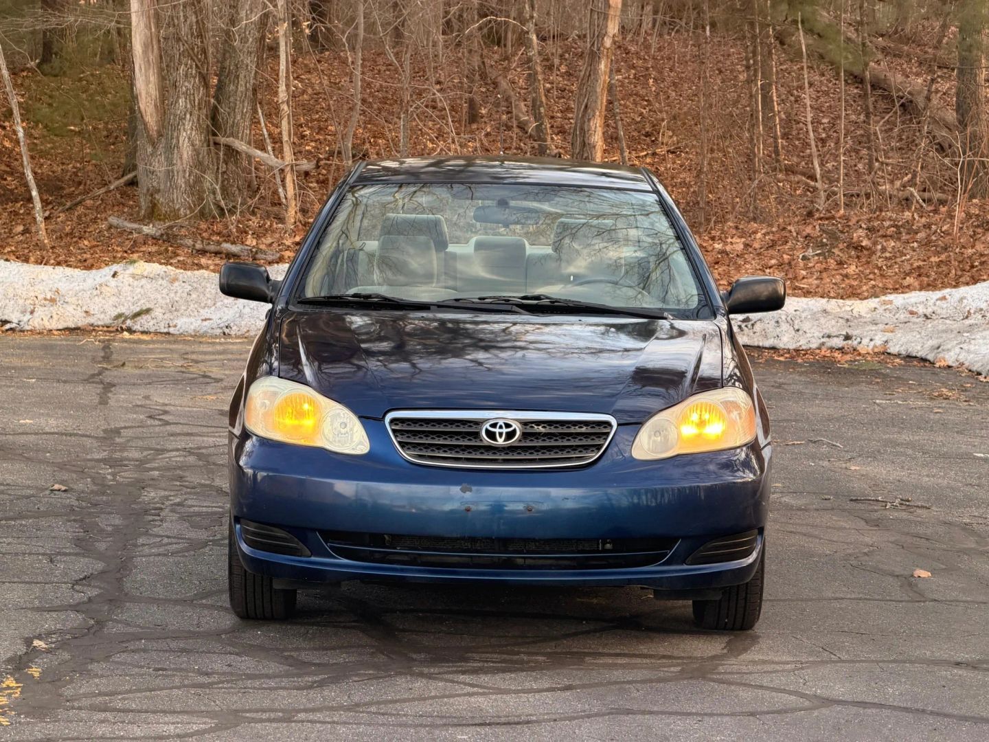 2007 TOYOTA Corolla