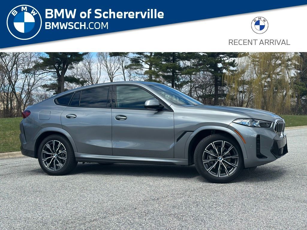 2024 BMW X6