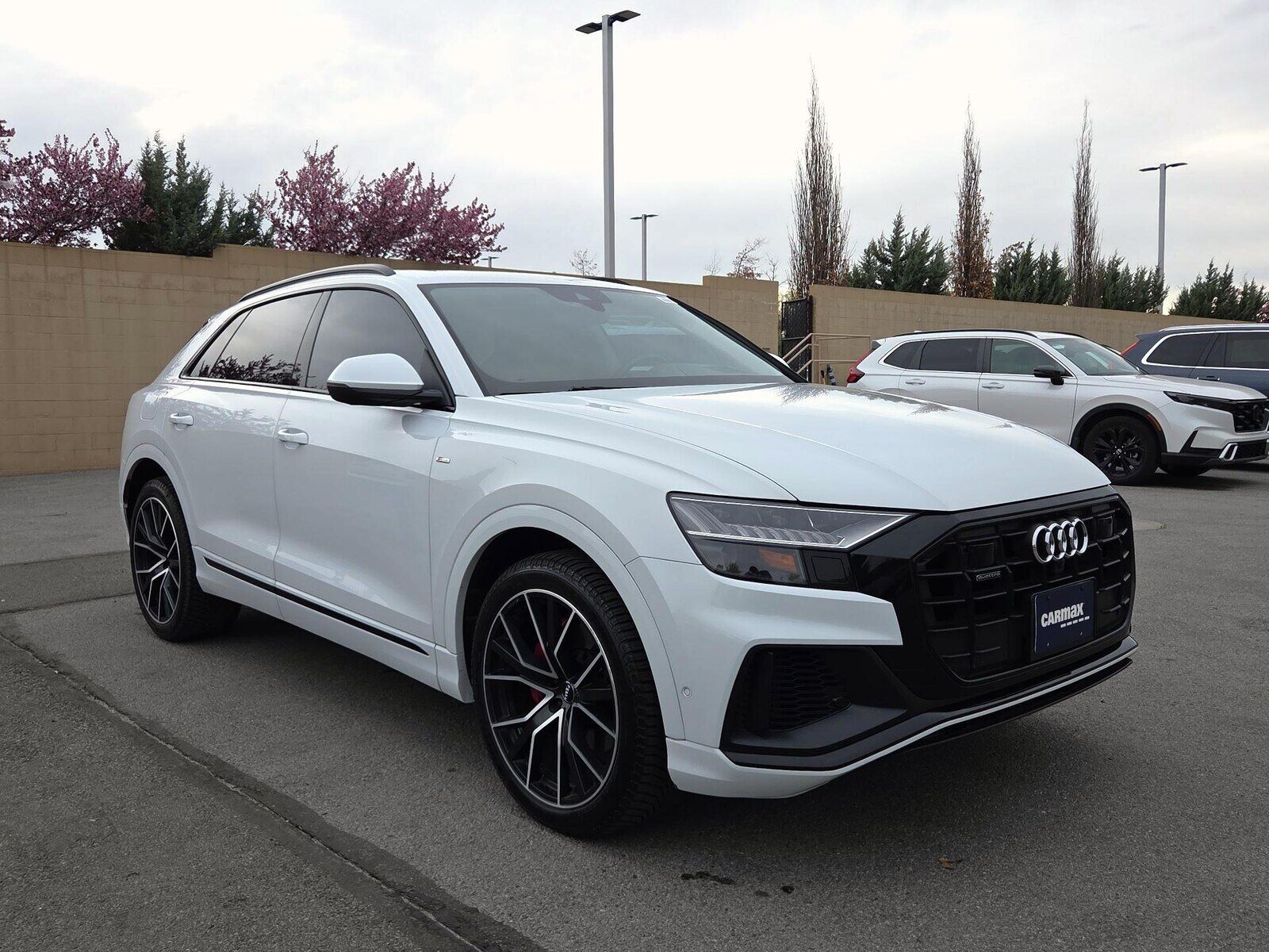 2019 AUDI Q8