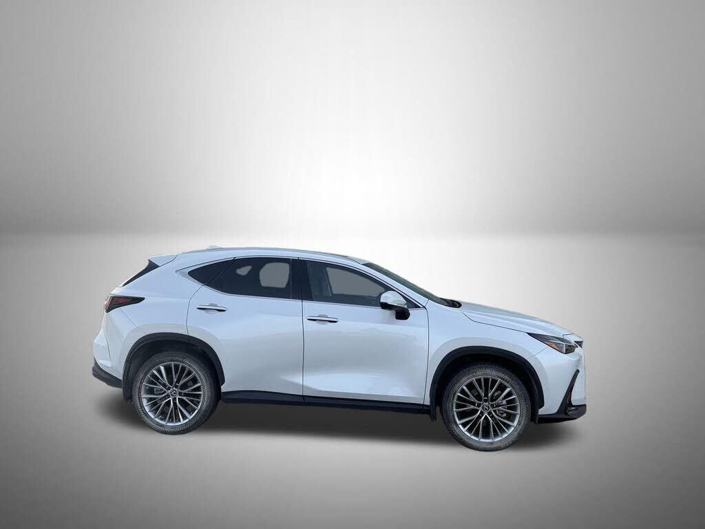 2025 LEXUS NX