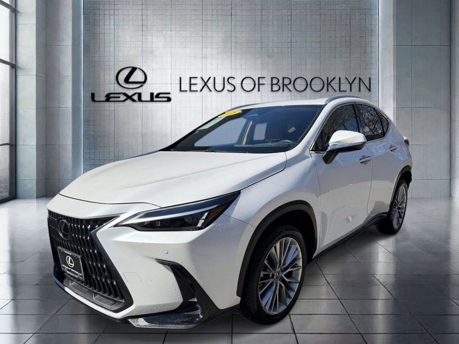 2025 LEXUS NX