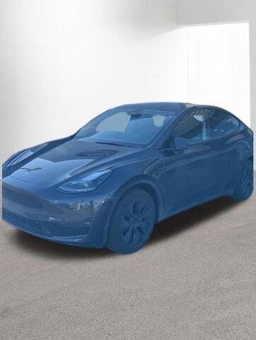 2025 TESLA Model Y