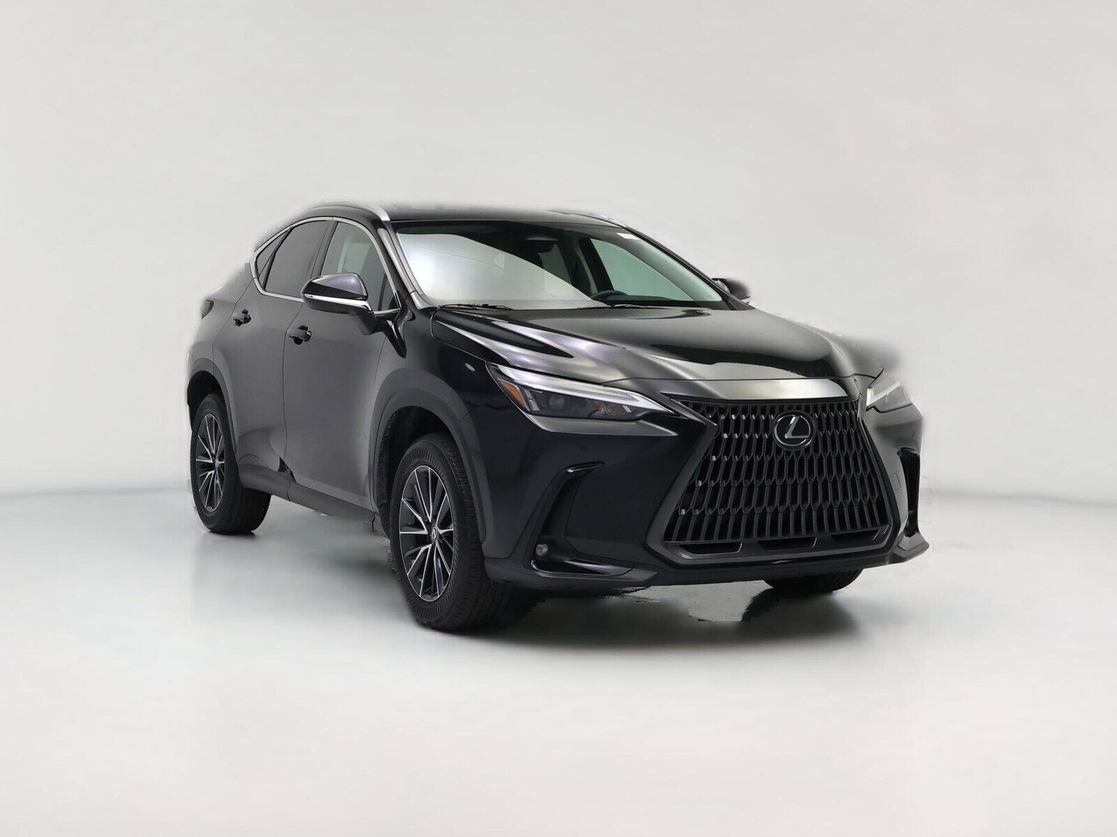 2024 LEXUS NX