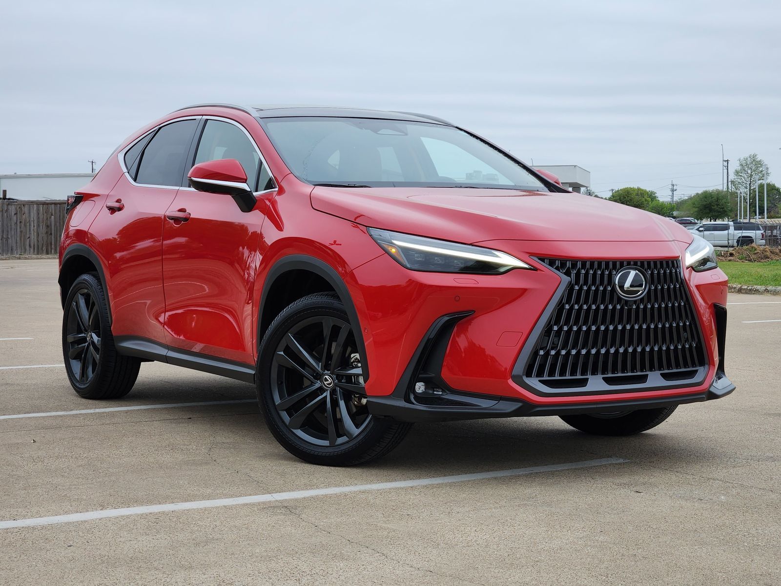 2025 LEXUS NX