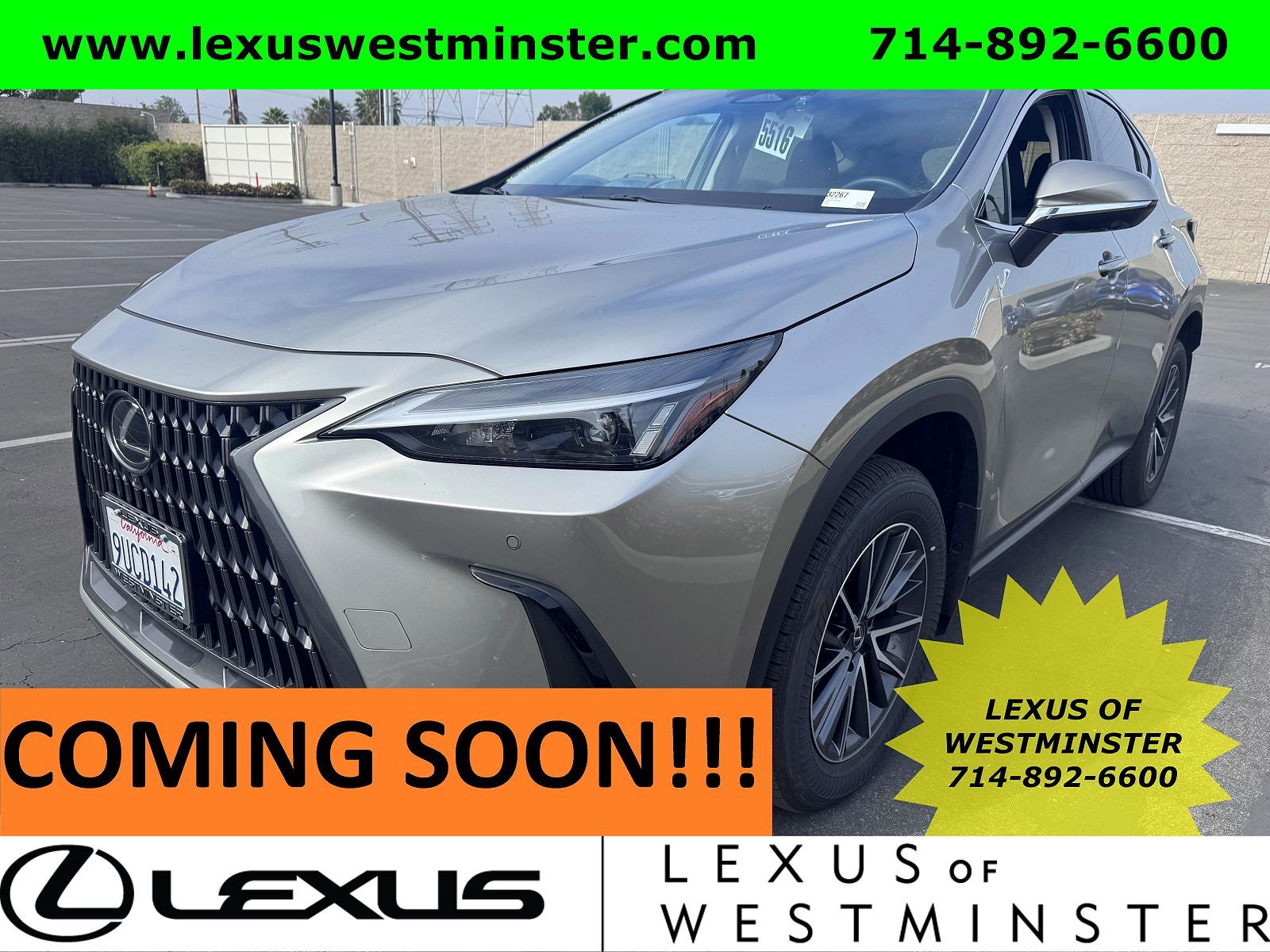 2025 LEXUS NX