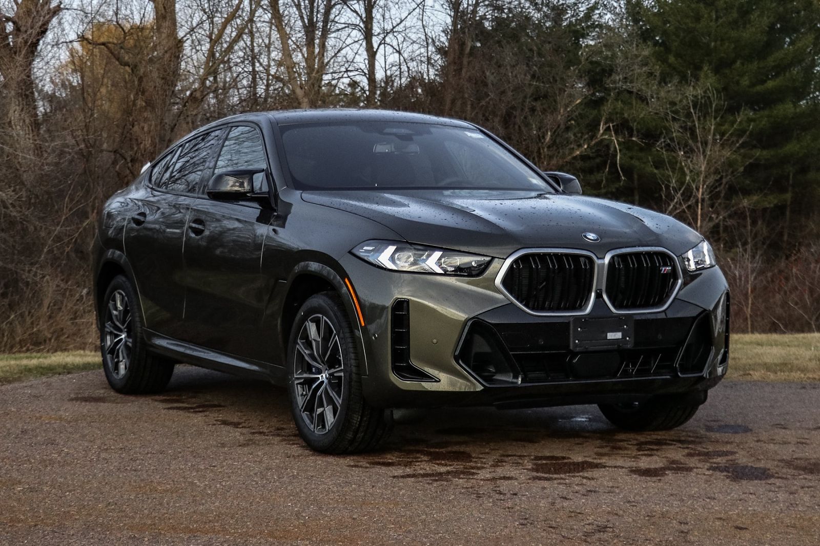 2026 BMW X6