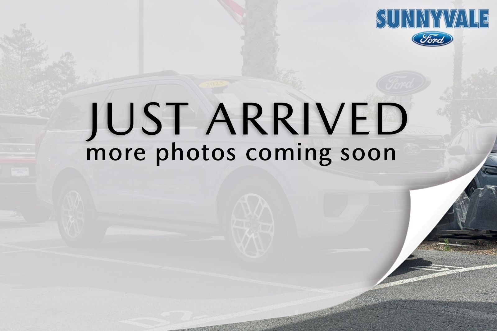 2025 FORD Expedition