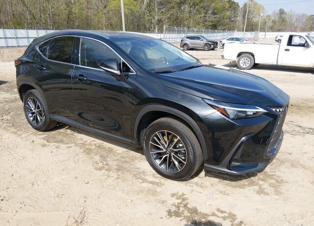 2024 LEXUS NX
