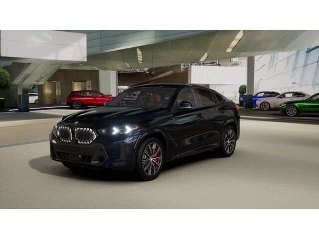 2026 BMW X6
