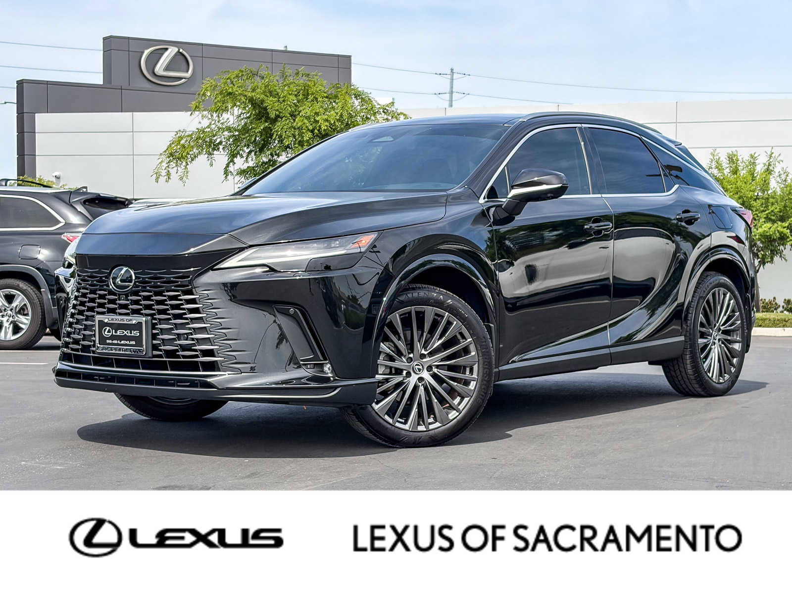 2024 LEXUS RX