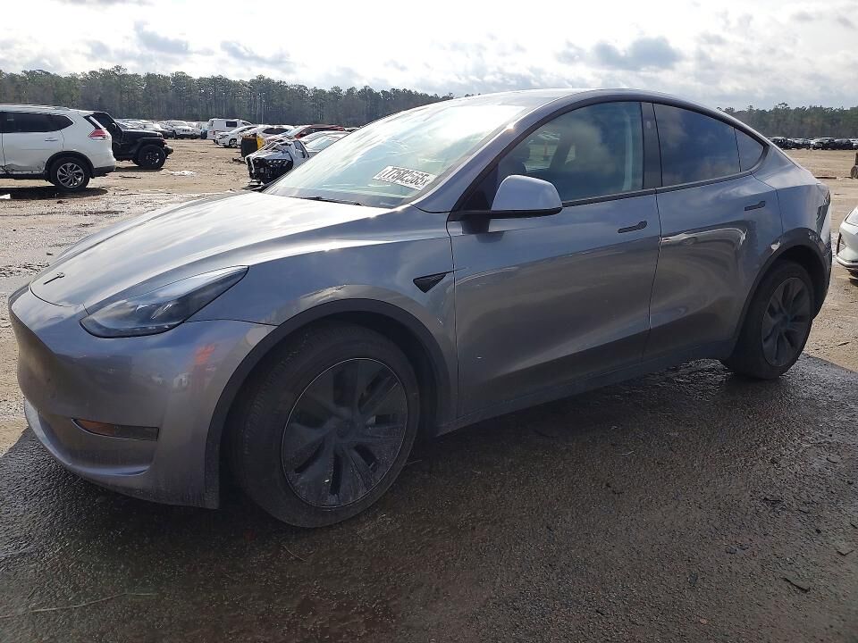 2024 TESLA Model Y