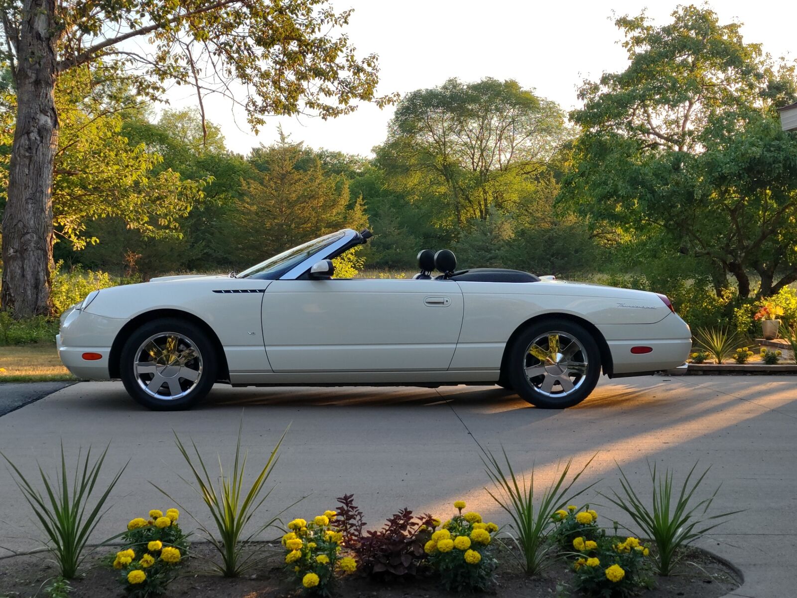 2003 FORD Thunderbird