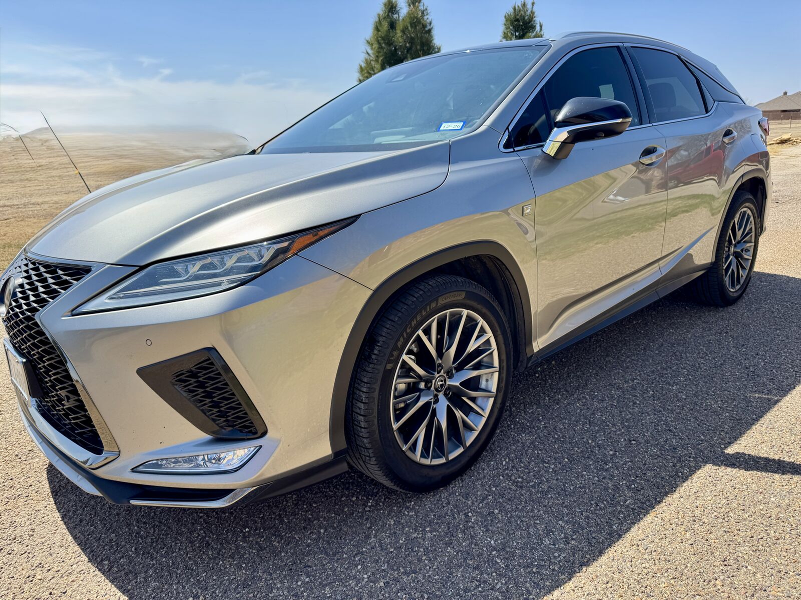 2020 LEXUS RX