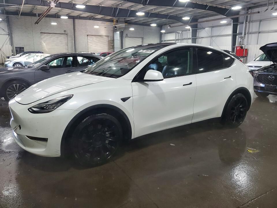2021 TESLA Model Y