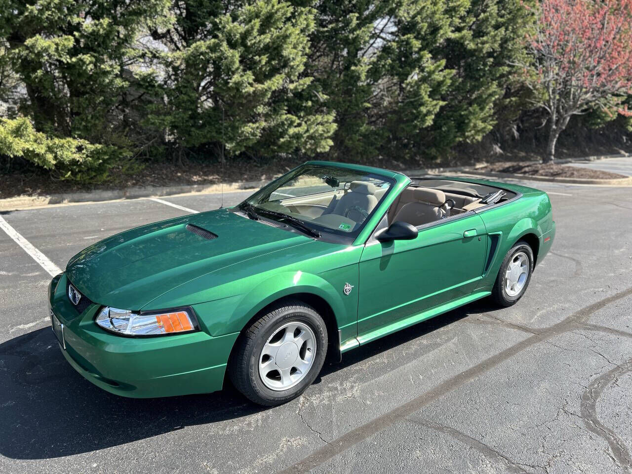 1999 FORD Mustang
