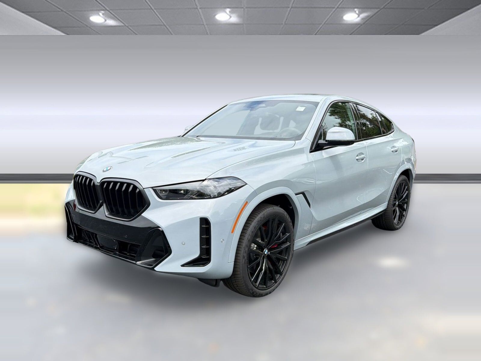 2026 BMW X6