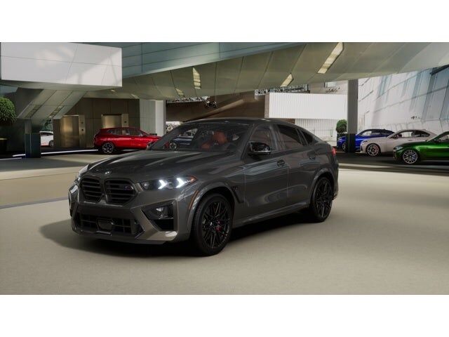 2026 BMW X6