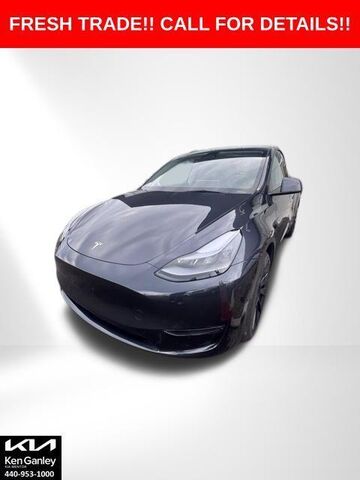 2025 TESLA Model Y